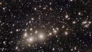 View of the Perseus cluster of galaxies (Image: ESA/Euclid/Euclid Consortium/NASA, image processing by J.-C. Cuillandre (CEA Paris-Saclay), G. Anselmi) 